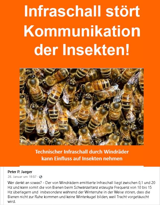 Read more about the article Infraschall und Insekten